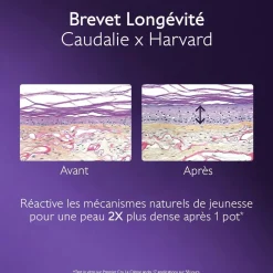CAUDALIE Rides, Taches, Volume|Anti-Rides, Fermeté^La Crème au Brevet Longévité & filler repulpant naturel