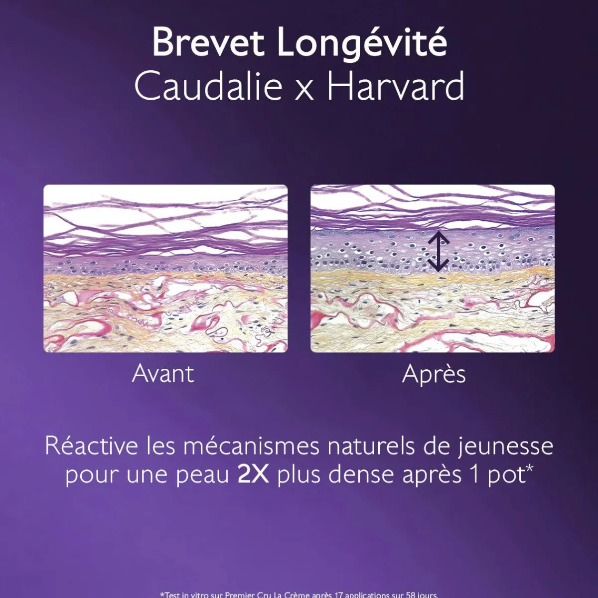 CAUDALIE Rides, Taches, Volume|Anti-Rides, Fermeté^La Crème Riche