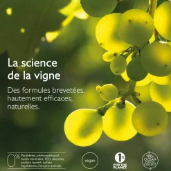 CAUDALIE Rides, Taches, Volume|Anti-Rides, Fermeté^La Crème Yeux