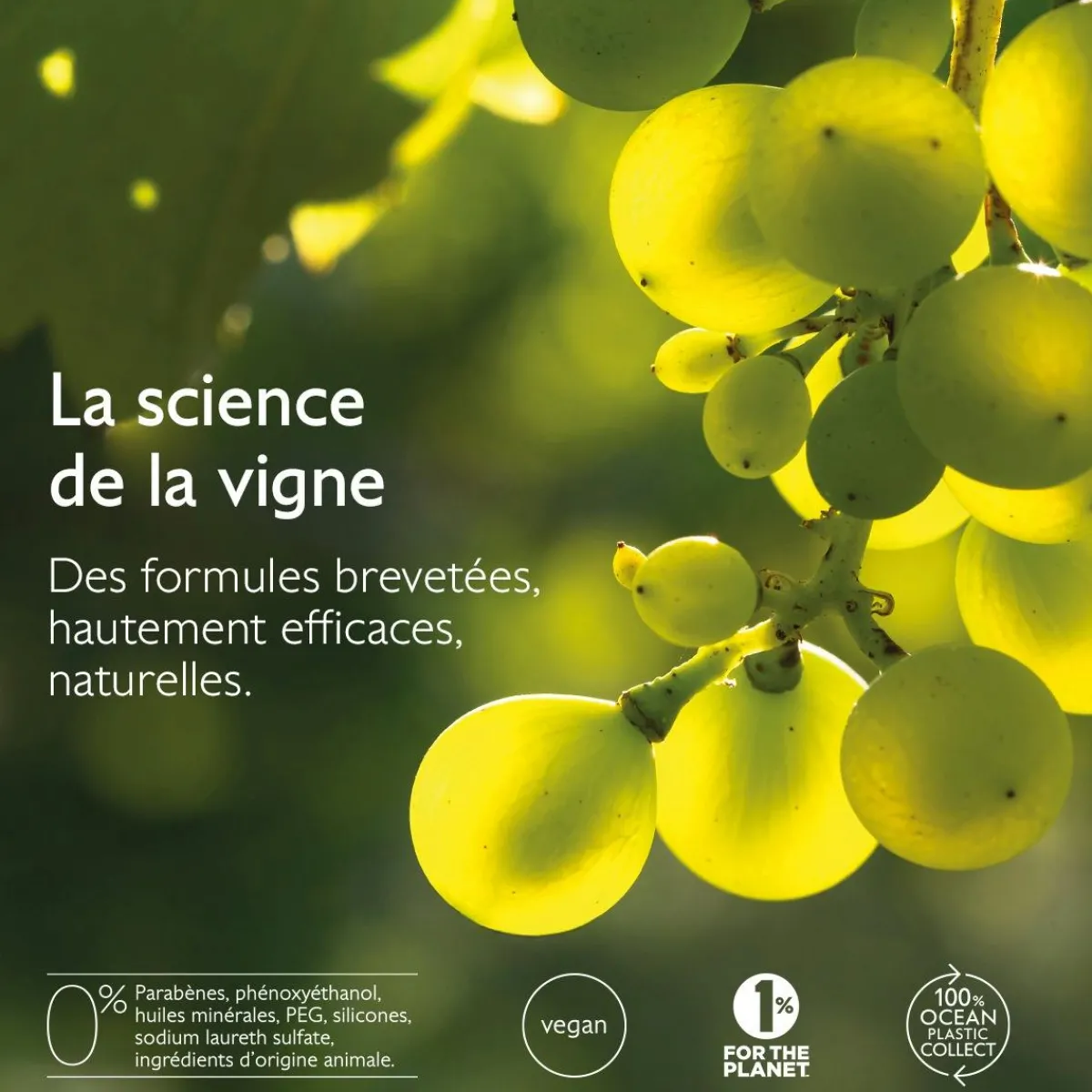 CAUDALIE Peaux À Tendance Acnéique|Crèmes & Fluides^Stop Boutons Salicylique l'Acide Salicylique